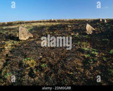 Treen Common Stone Circle, Mulfra Hill, Penzance, Cornovaglia. Guardando verso sud est in salita attraverso il cerchio verso Mulfra Hill Foto Stock