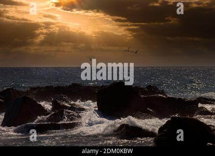 Tramonto sul mare di Cortez a Cabo San Lucas, Messico Foto Stock