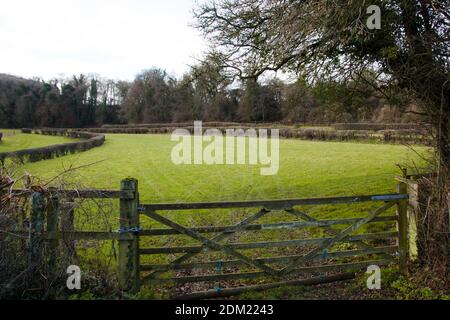 Fattoria terreno campo e legno bar cancello su Gracious Street, Selborne, Hampshire, Regno Unito, dicembre 2020 Foto Stock