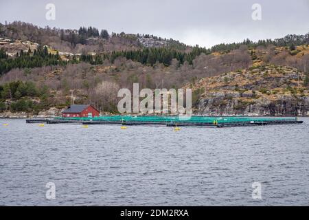 Crociera lungo Radfjorden vicino Bergen in Norvegia Foto Stock