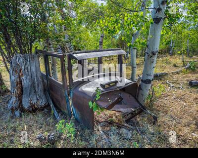 Old Hudson Body, Swett Ranch National Historic Site, Flaming Gorge National Recreation Area vicino a Dutch John, Utah. Foto Stock