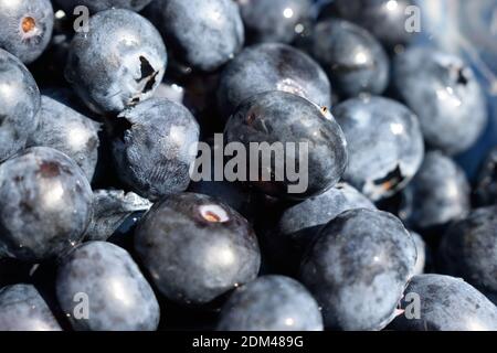 Ribes fresco Closeup Foto Stock