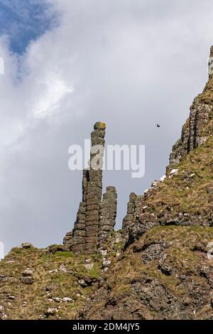 Contea di Antrim, Irlanda del Nord, Regno Unito. 29 Apr 2016. Formazioni rocciose esagonali di colonne di basalto interbloccanti al Selciato del Gigante. Foto Stock