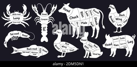 Guida macellaio. Regime dei tagli di carne, silhouette di manzo, pollo, pesce e gamberetti, linee di taglio della carne. Macellaio carne tagli schema vettore illustrazione set Illustrazione Vettoriale