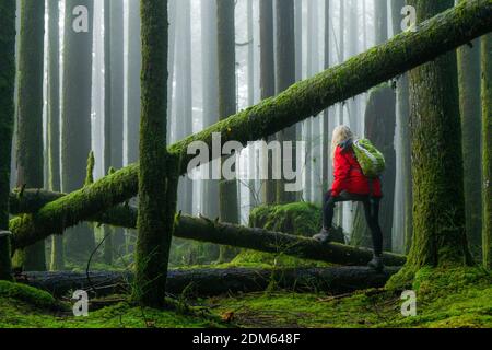 Donne che camminano sui tronchi caduti nella foresta, Golden Ears Provincial Park, Maple Ridge, British Columbia, Canada Foto Stock