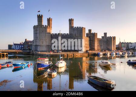 Caernarfon Castle, Caernarfon, Gwynedd, Wales, Regno Unito Foto Stock