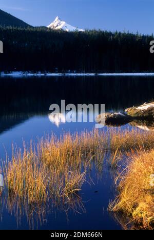 Suttle Lago & Washington Mt, Deschutes National Forest, Oregon Foto Stock