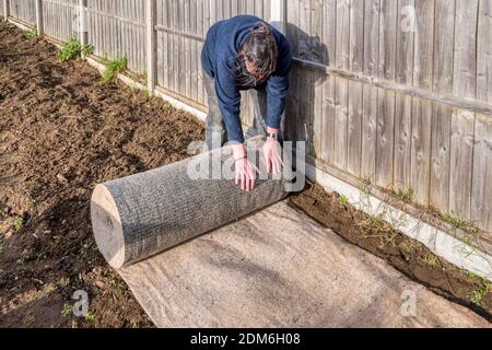 Donna che rotola fuori una lunghezza di stufatura biodegradabile di erbacce in un bordo di giardino, prima di piantare una siepe. Foto Stock