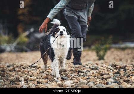 Il pescatore insegue un pastore australiano con un bastone sulla roccia shore Foto Stock