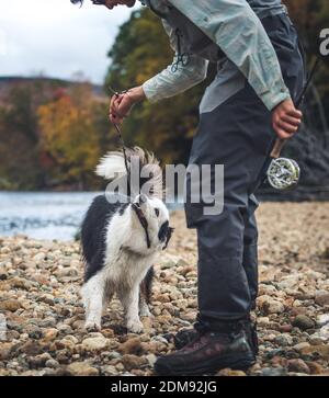 Pescatore che tira il bastone nella bocca di dogâ€™sulla costa rocciosa Foto Stock