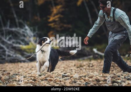 Il pescatore insegue un pastore australiano con un bastone sulla roccia shore Foto Stock