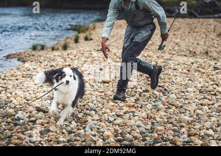 Il pescatore insegue un pastore australiano con un bastone sulla roccia shore Foto Stock