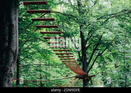 Scala a fune estrema fissata su un albero alto nel parco avventura Foto Stock