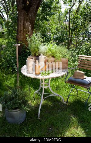 una varietà di erbe che crescono in scatola di fiori di legno dentro un giardino Foto Stock