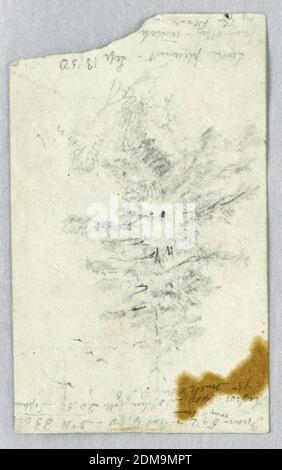 Studio di Pine Foliage, Lake Pleasant, Daniel Huntington, americano, 1816–1906, grafite su carta di crema di wove, Studio del fogliame di un pino, con note sopra e sotto. Verso: Notazioni delle spese., New York, USA, 13 settembre 1850, studi sulla natura, disegno Foto Stock