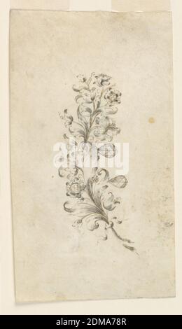 Design per un Brooch, penna e inchiostro seppia, pennello e grigio acquerello su carta, gioielli design per una spilla. Due rami, girati a destra, con un nodo sotto, fiori e foglie. Due diamanti a goccia appesi, Italia, ca. 1750, gioielli, disegno Foto Stock