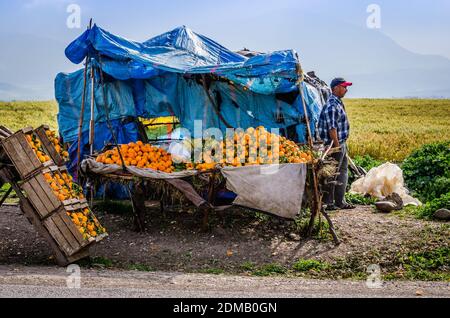 Meknes, Marocco - 08 aprile 2015. Venditore delle arance fresche per la strada con mezzo rotto stand Foto Stock