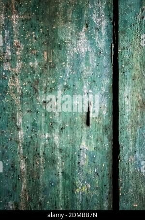 Chiodo singolo piegato su un vecchio armadio di legno verniciato verde coperto di vernice da peeling e segni di età molto vecchia. Texture in un pezzo di vecchia storia per Foto Stock