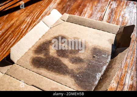 cartone monouso non riciclabile a causa degli alimenti residui e grasso contaminati dalla pizza Foto Stock