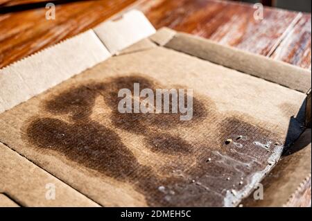 cartone monouso non riciclabile a causa degli alimenti residui e grasso contaminati dalla pizza Foto Stock