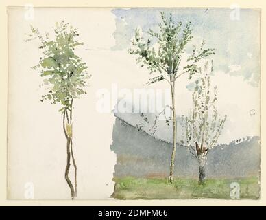 Disegni di paesaggio, Whitney Warren Jr., americano, 1864–1943, grafite, pennello e acquerello su cartone, sinistra, due alberi giovani; destra, due alberi in un prato mostrato contro colline boscose. Verso, massi e un evergreen., USA, ca. 1900, paesaggi, disegno Foto Stock