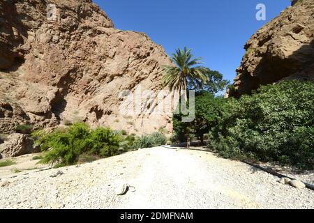 Il bellissimo wadi FUSC in Oman. Foto Stock