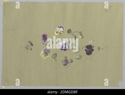 Disegno per carta da parati e tessuti: Fiori, pennello e gouache, grafite su carta crema, forma a diamante orientata orizzontalmente composta da otto grappoli di fiori e fogliame al centro della pagina. Sette pansies viola e giallo con profilo a forma di fogliame, singolo porpora e pansy giallo al centro del visore rivolto verso il diamante. Linee guida in grafite sono visibili sulla pagina con il diamante bisecato orizzontalmente e verticalmente., Francia, 19 ° secolo, carta da parati disegni, disegno Foto Stock