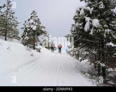 Due sciatori di fondo su piste battute presso l'area sciistica di Echo Ridge Nordic Ski. Foto Stock