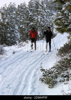 Due sciatori di fondo (nordici) su un percorso ben utilizzato presso l'Echo Ridge Nordic Ski Center di Chelan, Washington. ECHO Ridge ha iniziato come un cross- Foto Stock