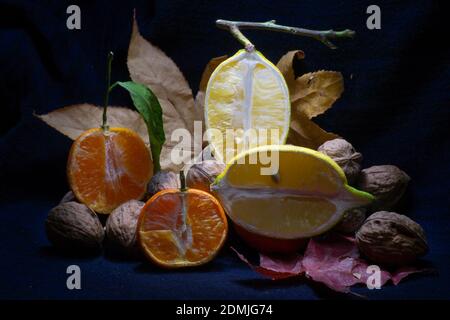 Mandarino e limone a faccia aperta con noci e foglie d'acero colore autunnale su sfondo nero Foto Stock