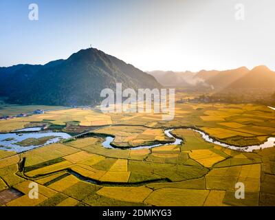 Valle del Bac Son con campi di riso gialli nella stagione di raccolta nel distretto di Bac Son, provincia di Lang Son, Vietnam Foto Stock