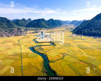 Valle del Bac Son con campi di riso gialli nella stagione di raccolta nel distretto di Bac Son, provincia di Lang Son, Vietnam Foto Stock