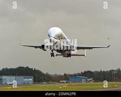 Newquay, Cornovaglia, Regno Unito, 14 dicembre 2020. Inusuale velivolo A700 Airbus a forma di balena visita l'aeroporto di Newquay per una serie di equipaggi traini Foto Stock