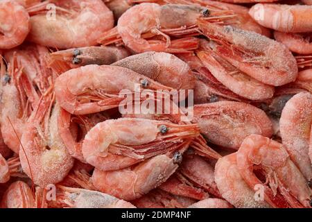 Pesce di gamberi surgelati, vista ravvicinata Foto Stock