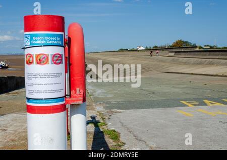 Meols, The Wirral, Regno Unito: 23 giugno 2020: Un cartello che indica che la spiaggia è chiusa alla raccolta di molluschi si trova accanto allo scivolo di Bennetts Lane sulla Th Foto Stock