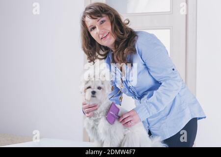 Bella donna che combatte e cura un piccolo cane maltese bianco Foto Stock