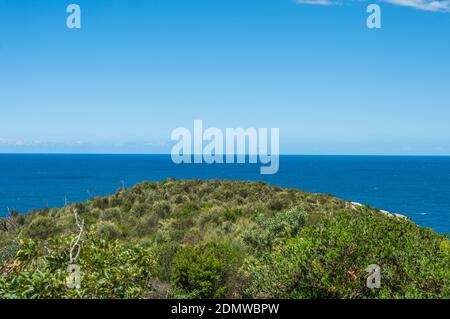 Oceano dalla cima della collina Foto Stock