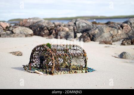 Pentola di aragosta sulla spiaggia scozzese Foto Stock