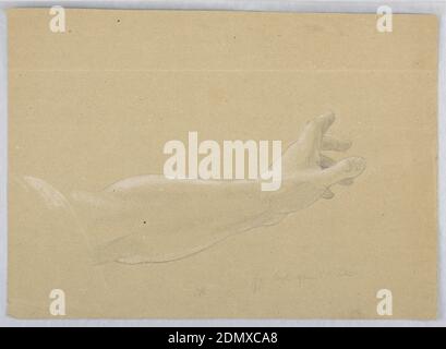 Studio della mano per Angelo che appare a San Pietro in 'primi martiri Cristiani', Daniel Huntington, americano, 1816–1906, grafite e gesso bianco su carta di wove marrone, l'avambraccio sinistro e la mano di un angelo sono mostrati orizzontalmente, teso verso sinistra., Italia, USA, 1839–40, figure, disegno Foto Stock