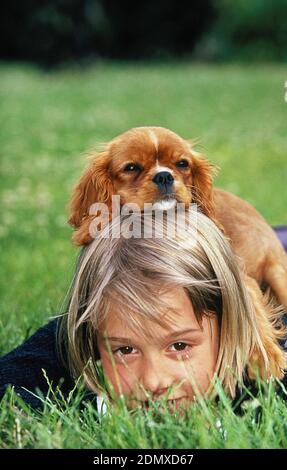 Ragazza con Cavalier re Charles Spaniel Pup Foto Stock