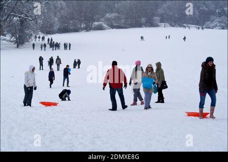 Snowfall 2010 Horsham UK persone che giocano nella neve su discese in campi aperti con una spessa copertura di neve bianca fresca scivola e slitte. Foto Stock