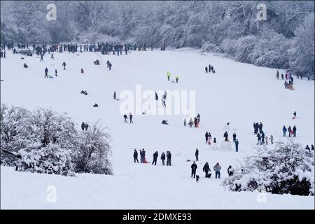 Snowfall 2010 Horsham UK persone che giocano nella neve su discese in campi aperti con una spessa copertura di neve bianca fresca scivola e slitte. Foto Stock