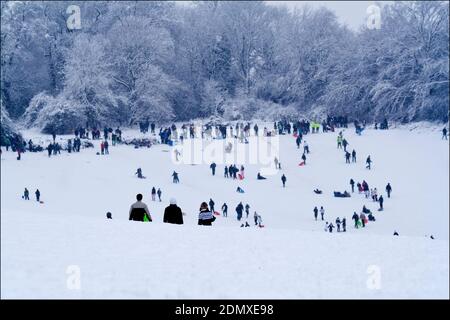 Snowfall 2010 Horsham UK persone che giocano nella neve su discese in campi aperti con una spessa copertura di neve bianca fresca scivola e slitte. Foto Stock