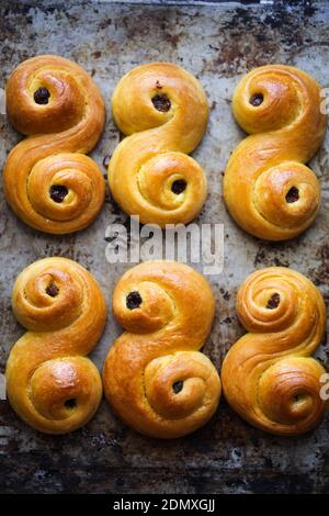 Lussekater, focaccine dolci tradizionali svedesi. Foto Stock