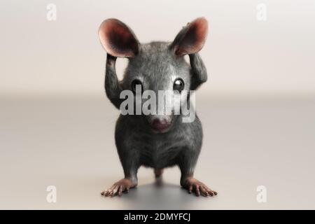 Illustrazione 3D di un mouse di casa Mus musculus Foto Stock