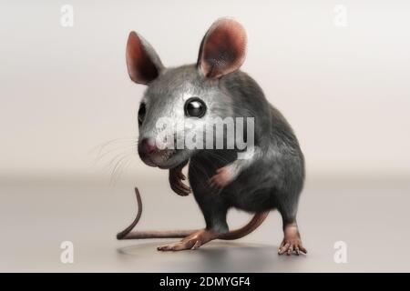 Illustrazione 3D di un mouse di casa Mus musculus Foto Stock