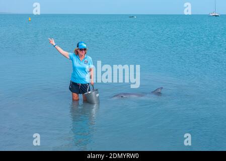 MONKEY mia, AUSTRALIA, 13 GENNAIO 2020: Spettacolo di alimentazione dei delfini al resort Monkey mia in Australia Foto Stock