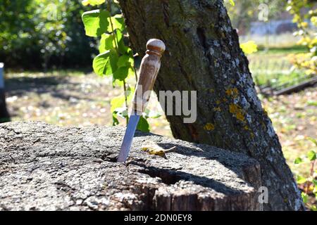 Coltello bloccato in ceppo di legno in giardino rurale. Foto Stock