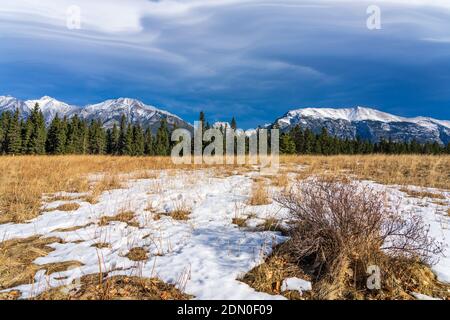 Natural forest grassland scenery, unmelted snow on the autumn meadow. Snow capped mountains with blue sky and white clouds in the background. Canmore, Stock Photo