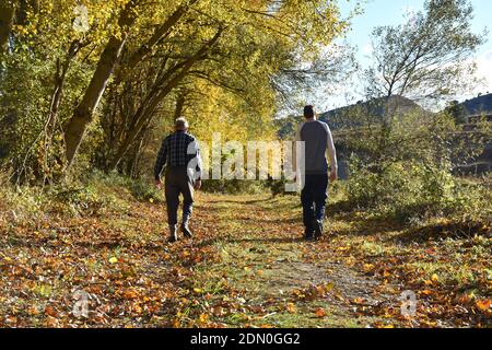 Padre e figlio camminano al tramonto lungo la strada di campagna accanto agli alberi, paesaggio autunnale. Foto Stock